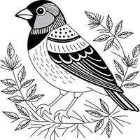 Bird Aviary Vintage Illustrations vector