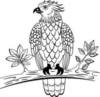 A vintage illustration of javan hawk sitting on branch vector