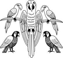Vintage illustration of a flock of macaws vector