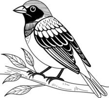 Vintage style illustration of lazuli bunting bird vector