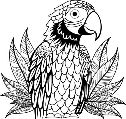 A vintage illustration of macaw head