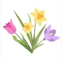 Simple Spring Design of Crocus, Daffodil and Tulip Flowers. Bouquet of Three Flowers in Flat Style. Naive Botanical Element Perfect for Banners, Posters, Flyers, Cards, Social Media, Web. vector