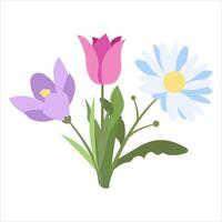 Naive Simple Design of Crocus, Daisy and Tulip Flowers. Spring Bouquet of Three Flowers in Flat Style. Naive Botanical Element Perfect for Banners, Posters, Flyers, Cards, Social Media, Web. vector