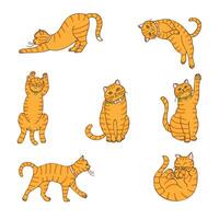 a set of drawings of red cats, hand-drawn in a cartoon style. vector