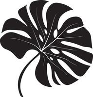 Monstera leaf silhouette element on white background vector