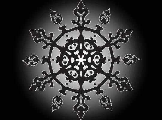 Luminous Shadow Mandala