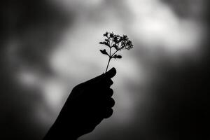 Shadowed Hand Holding a Wildflower Against a Blue Sky Capturing Delicate Beauty with a Natural Background photo
