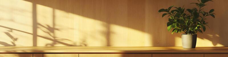 Minimalist wooden kitchen counter with blank walls single potted flower and ample copy space photo