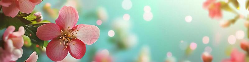 Bright spring flowers in soft pastel tones on a light background with cheerful atmosphere photo