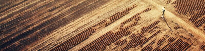 Aerial view of farmland with wind turbine and geometric crop patterns in golden tones photo