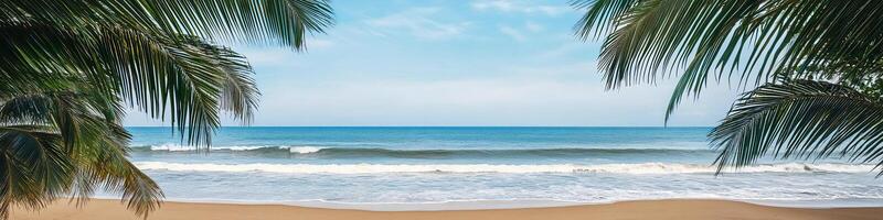 Tropical beach with swaying palm leaves framing a calm ocean and blue sky view photo