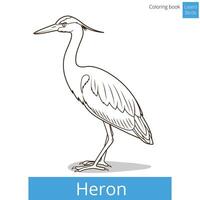 Heron learn birds educational game coloring book illustration vector