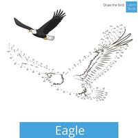 Eagle learn birds educational game learn to draw illustration vector
