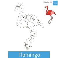 Flamingo learn birds educational game learn to draw illustration vector