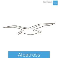 Albatross learn birds educational game coloring book illustration vector