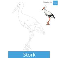 Stork learn birds educational game learn to draw illustration vector
