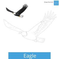 Eagle learn birds educational game learn to draw illustration vector