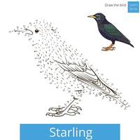 Starling learn birds educational game learn to draw illustration vector