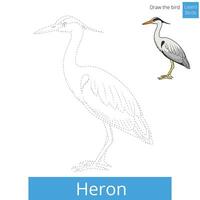 Heron learn birds educational game learn to draw illustration vector