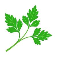 parsley vegetable for cooking meals. A bright element. Hand drawn Trendy flat style isolated for design. illustration vector