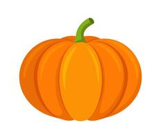 pumpkin vegetable for cooking meals. A bright element. Hand drawn Trendy flat style isolated for design. illustration vector