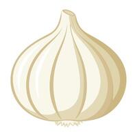 garlic vegetable for cooking meals. A bright element. Hand drawn Trendy flat style isolated for design. illustration vector