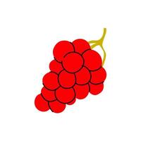 Fresh red grapes hanging from a vine in a sunny vineyard during harvest season vector