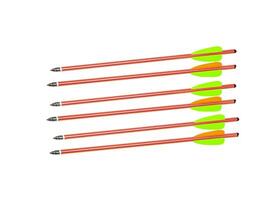 Six orange arrows with green and orange fletching, arranged in parallel on a white background. photo