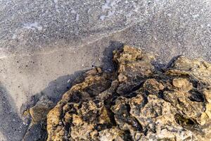 A close-up view of a rocky shoreline with textured rocks and wet sand photo