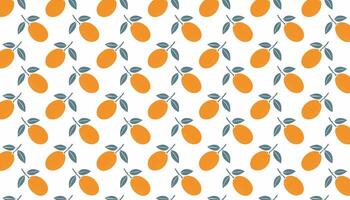Kumquat fruit pattern on white background. illustration in flat style. vector