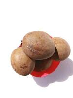 sapodilla on white background photo