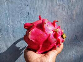 Dragon fruit isolated on blue background photo