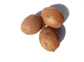 sapodilla on white background photo