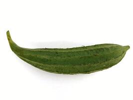Angled luffa isolated on white background photo