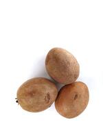 sapodilla on white background photo