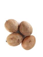 sapodilla on white background photo