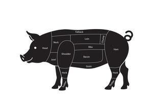 Diagram of Polish Pork Cuts with Labels vector