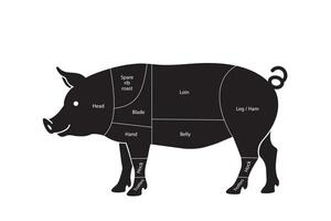 Diagram of British Pork Cuts with Labels vector
