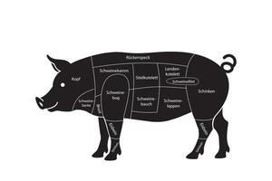 Diagram of German Pork Cuts with Labels vector