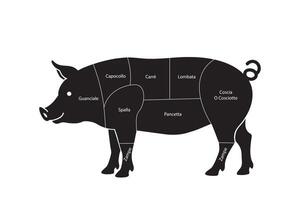 Diagram of Italian Pork Cuts with Labels vector