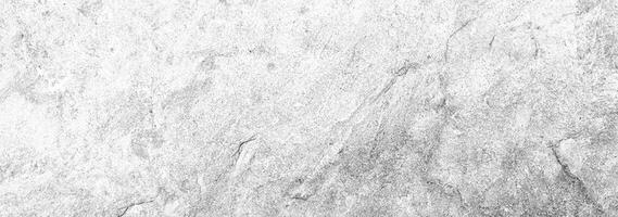High-resolution black and white natural stone texture with subtle grain and organic patterns, perfect for design backgrounds. photo