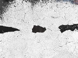 Abstract cracked and weathered surface texture in black and white, featuring rough edges and organic patterns. photo