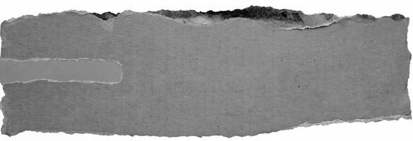 Torn grunge black and white paper texture with rough edges, isolated on white background. photo