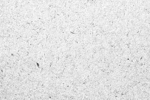 A seamless white paper texture featuring subtle natural fibers and organic details, ideal for backgrounds and designs. photo