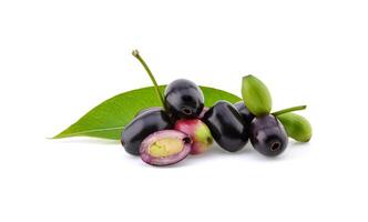 Jambolan plum or Java plum isolated on white background photo