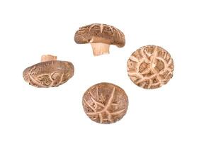 Top view of Shiitake Mushrooms isolated on white background photo