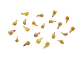 grape seed isolated on white background photo