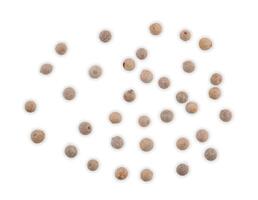 Top view of white peppers on the white background. photo