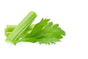Celery isolated on white background photo