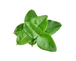 Top view of Kaffir lime leaf isolated on white background photo